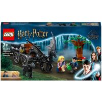 Klocki LEGO Harry Potter Testrale i kareta z Hogwartu 76400