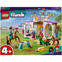 Klocki LEGO Friends Szkolenie koni 41746